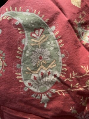 Pottery Barn DUVET COVER  FLORENCE Full Queen Euro Paisley Floral-image