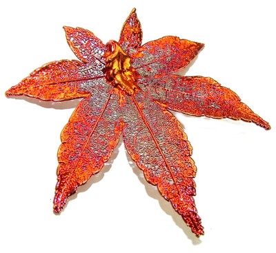 Stylish REAL Leaf dipped in  .925 Sterling Silver and Copper LARGE  Pendant-image