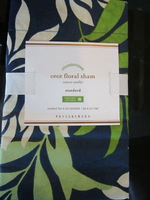 1 Pottery Barn CeCe Organic Patterned Standard Sham New with tag-image