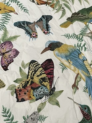 POTTERY BARN  Bird Full/Queen DUVET COVER 100% cotton 2 Shams Fauna Percale-image