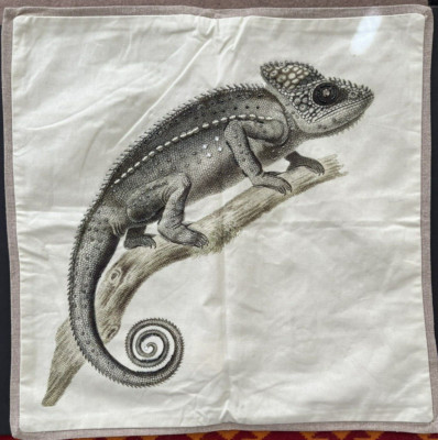 Pottery Barn Luxe Chameleon Lizard Pillow Cover Beads Nature 20