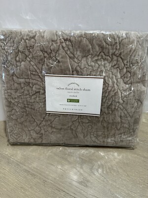 Pottery Barn Velvet Floral Stitch 1 Sham Standard Brownstone-image