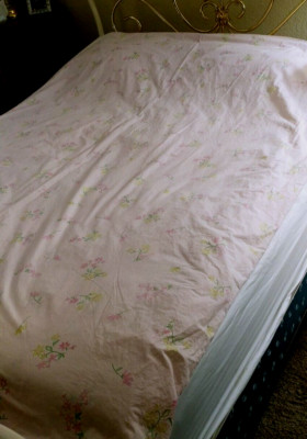 Pottery Barn Kids Twin Duvet  100% Cotton  Pink Flower Rose Shabby Chic 82'x62''-image