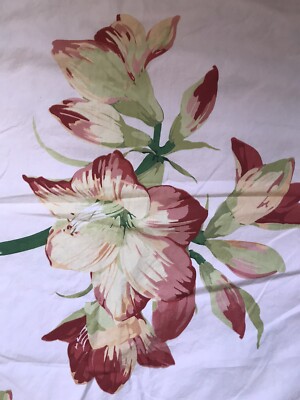 POTTERY BARN PINK ORGANIC COTTON HIBISCUS  SHAMS 26” EURO SQUARES-image