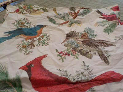 Pottery Barn Winter Bird Standard size Sham 100% Cotton 1-image