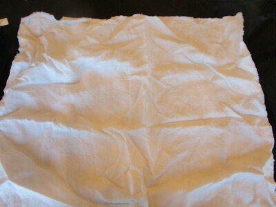 Pottery Barn linen fringe euro white sham photo shoot sample -image