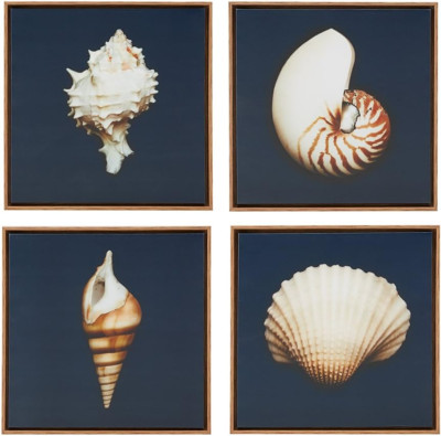 Madison Park, Ocean Seashells 4 Piece Set Wall Art Framed Canvas, Modern Coastal-image