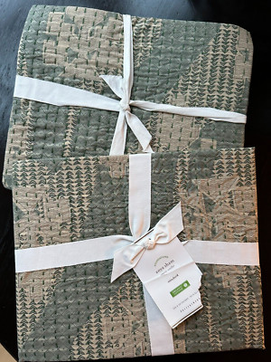 Set of 2 Pottery Barn Anya Standard Shams New-image