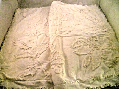 2  POTTERY BARN WHITE CHENILLE PILLOW  SHAM  FRINGE APPLIQUE   26X30 COTTON-image