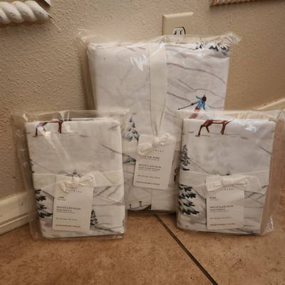 NEW Pottery Barn Whistler Run Skier KING / CAL KING Duvet 2 King Shams Alpine-image