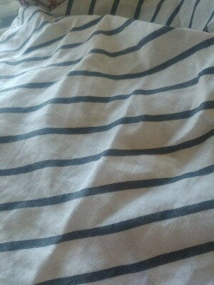 1 Pottery Barn Beckett stripe Belgian flax euro sham  New -image