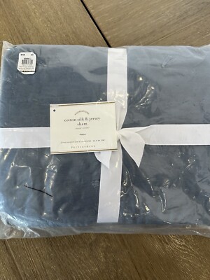 Pottery Barn Cotton silk and jersey Euro Sham Blue-image