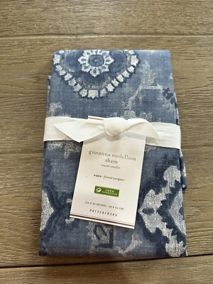 Pottery Barn Giovanna Euro Sham ONE Blue-image