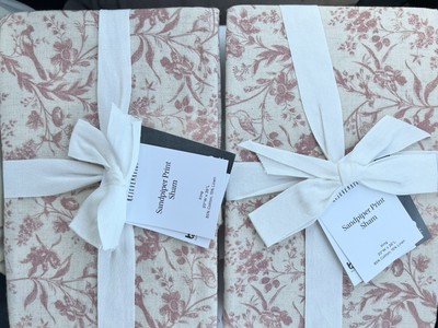 REJUVENATION (part of Pottery Barn Williams Sonoma) Sandpiper Euro Shams Set/2-image