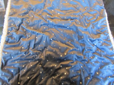 Pottery Barn Kids Metallic Star Euro chamois sham quilted photo shoot sample-image