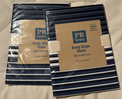Set of 2 Pottery Barn Teen BRADY STRIPE SHAMS ~NEW~-image