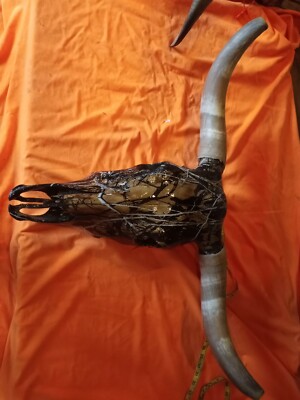 Long Horn Skull, Hydro Dipped-image