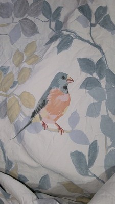 Pottery Barn Duvet Cover Fill Queen Organic Cotton Birds-image