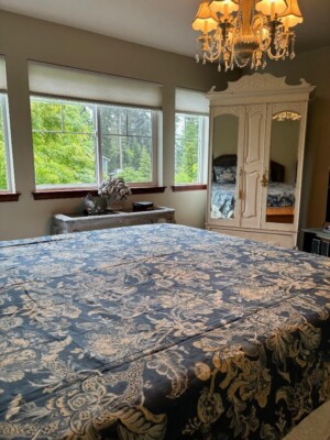 ABSOULTELY BEAUTIFUL BLUE POTTERY BARN FULL / QUEEN LINEN DUVET W 2 SHAMS #347-image