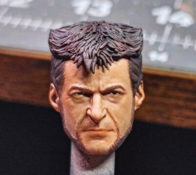 UNPAINTED Custom Wolverine Head For ZD  Logan Deadpool Figure-image