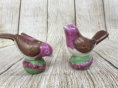 Vtg Hand Painted  Studio Art Ceramic Salt & Pepper Shaker Birds Signed Cottage-image