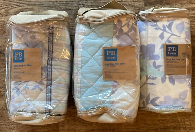 Pottery Barn Teen 2 Shams 1 Case Sugar Snap Patch Blue Purple Stripe Floral NEW-image