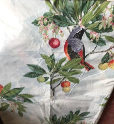 Pottery Barn Spring Bird Duvet Cover Robin Cardinal Queen No Shams Rare-image
