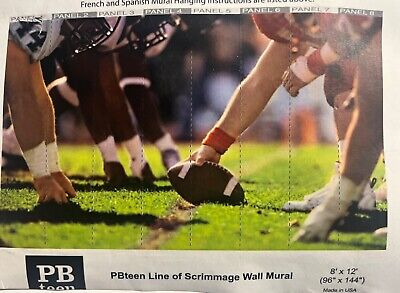 Pottery Barn teen line of scrimmage wall mural 8’x12’-image