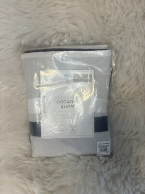 Pottery Barn Kids Decorator Organic Standard Shams- Blue & White- 26x20-image