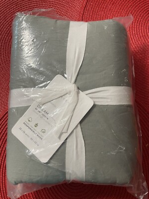 Pottery Barn Dream Euro Sham/ Sateen Eucalyptus  New In Package-image