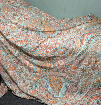 Pottery Barn Paloma Paisley Full Queen Size Duvet Cover & Sham-image