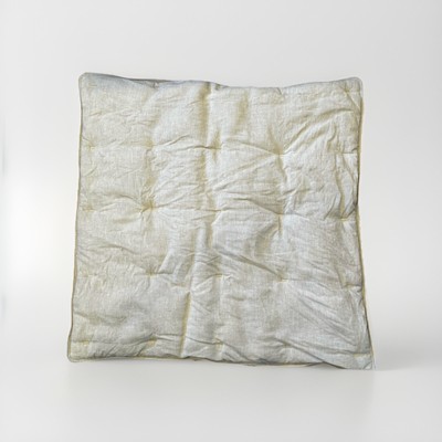 Pottery Barn Linen Large Pillow Sham Case Cover Padded Quilted 24