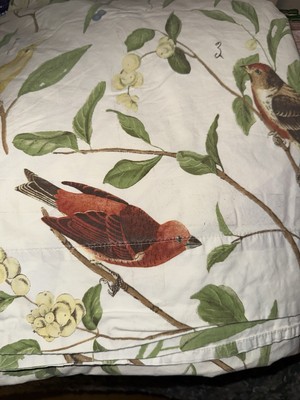 POTTERY BARN FLAT SHEET King Size Cotton Birds Bird Spring Sparrow Botanical-image