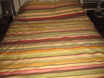 PotteryBarn Duncan Stripes Twin 100% Cotton Duvet Cover w/1 Euro Sham EUC-image