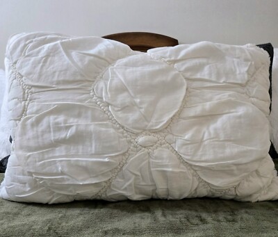 1 PB Pottery Barn Teen Pillow Sham Chloe Quilted STD Ivory Sherpa Backing 26x20-image