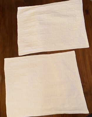 Pottery Barn Trellis Cotton Sham, 2 Standard Shams, White / 134181 26x20 inches-image