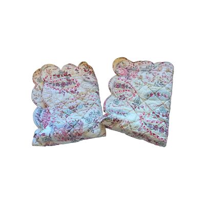 Two Pottery Barn Elizabeth Paisley STANDART Pillow Cases Sham Floral Pink-image