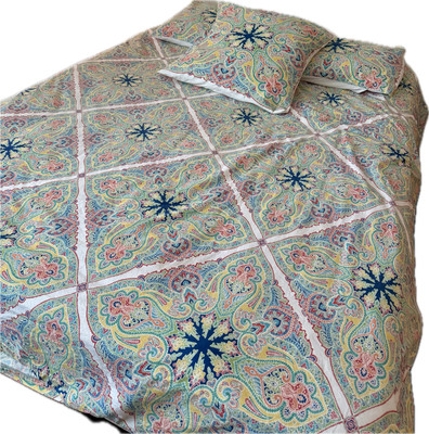 Pottery Barn Penelope Medallion Paisley Full/Queen Size Duvet Set Std Euro Shams-image