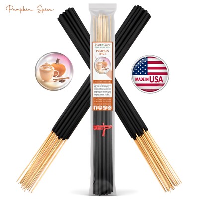 PUMPKIN SPICE Incense Sticks 19