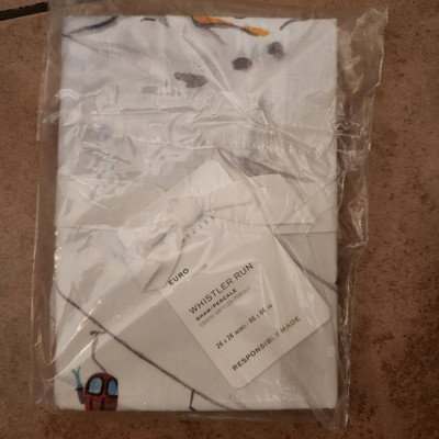 NEW Pottery Barn Whistler Run Skier EURO Sham Alpine-image