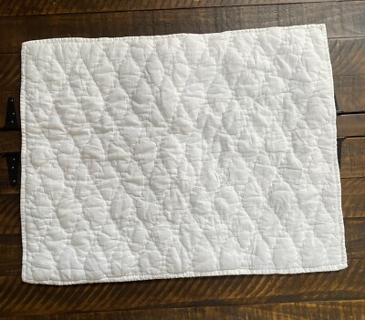 Pottery Barn White Cocoon Voile Quilted Sham Standard - White NWOT-image