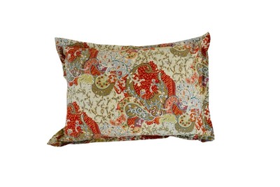 Pottery Barn Monreal Paisley Standard Sham Pillow Cover 100% Cotton Bohemian-image