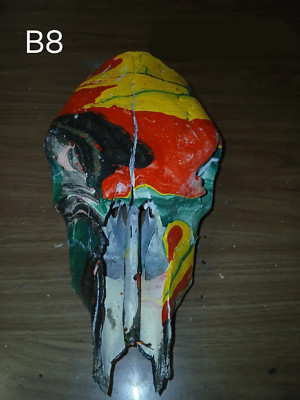 Authentic Hydro Dipped Cow Skull (B8)-image