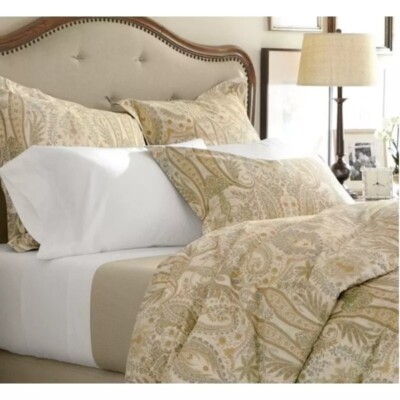 Pottery Barn Blythe Paisley King Duvet Cover 2 Euro Shams Beige Blue Organic-image