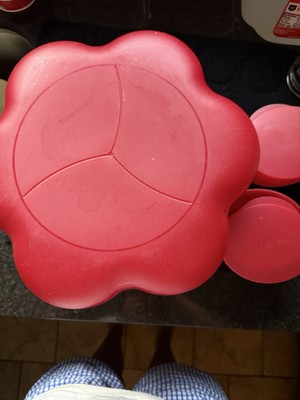 Tupperware Chip N Dip Bowl Set 24 Cup Open House Style Red-image