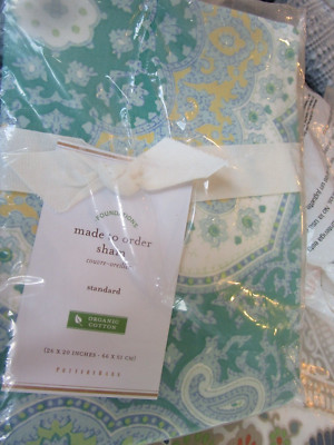 Pottery Barn Florentine Paisley  standard sham green New w tag-image