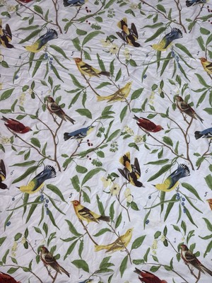 POTTERY BARN Caesarea Duvet Cover F/ Queen Cotton Birds Spring Sparrow Botanical-image