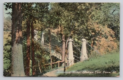Suspension Bridge Madison Park Peoria Illinois Postcard-image