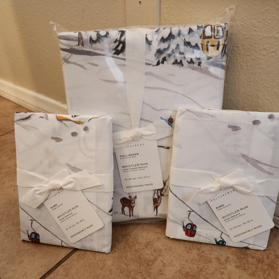 NEW Pottery Barn Whistler Run Skier FULL / QUEEN Duvet 2 EURO Shams Alpine-image