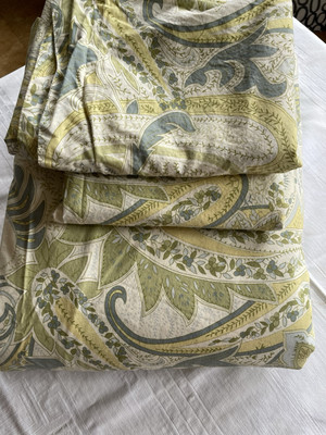 POTTERY BARN Sienna Paisley Blue Green White  King Cotton Duvet + 2 Euro Shams-image